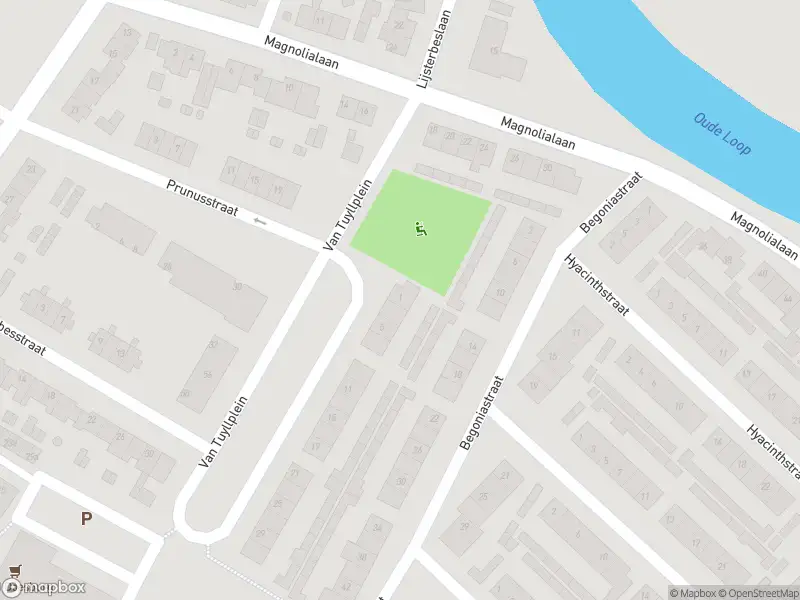 112 melding Overlastmelding Van Tuyllplein in Doesburg