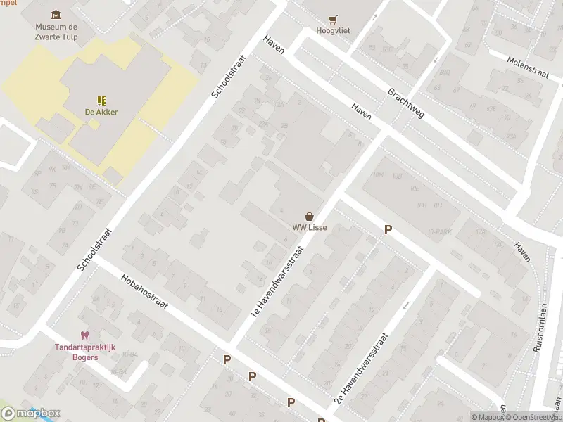 Ambulance met gepaste spoed naar de 1e Havendwarsstraat in Lisse