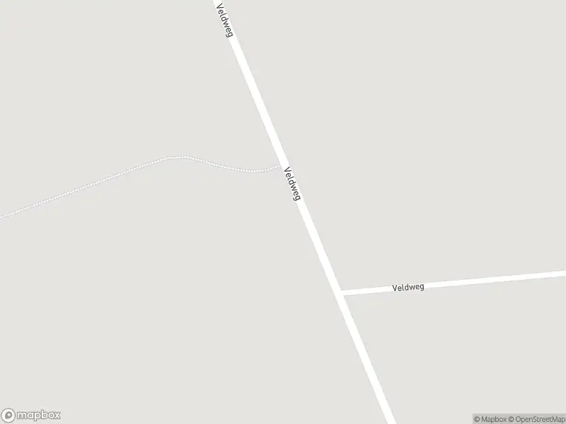 Brandweer met gepaste spoed naar de Veldweg in Dalfsen