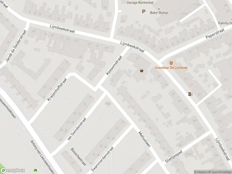 Brandweer met gepaste spoed naar de Metiuslaan in Eindhoven