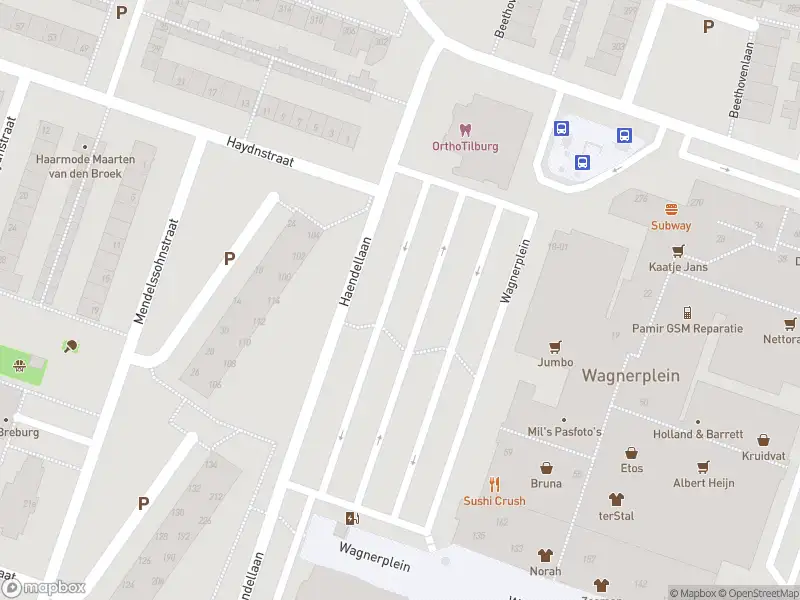 Overlastmelding Haendellaan in Tilburg