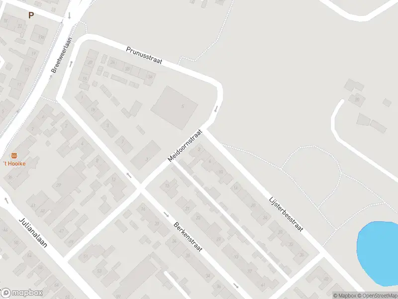 Brandweer met gepaste spoed naar de Lijsterbesstraat in Raamsdonksveer