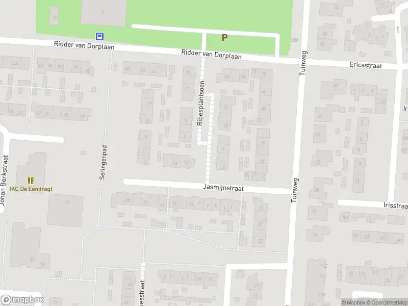 Overlastmelding Ribesplantsoen in Zuid-Beijerland