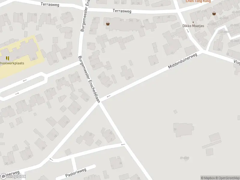 Overlastmelding Burgemeester Enschedélaan in Santpoort-Noord