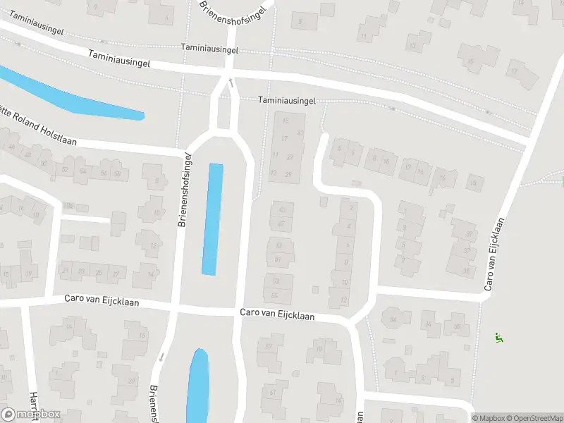 Overlastmelding Brienenshofsingel in Elst