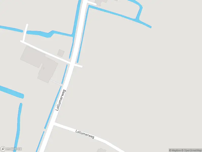 Politie met grote spoed naar de Lollumerweg in Tzum vanwege ongeval met letsel