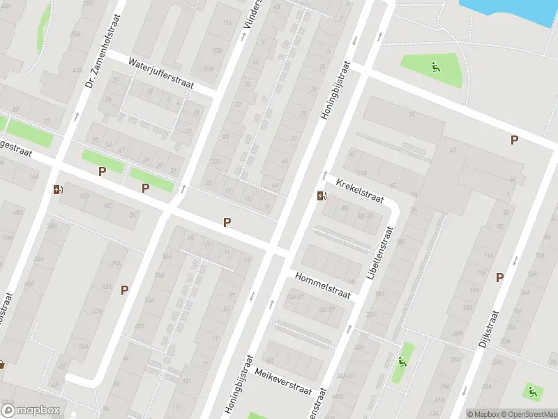 Ambulance met grote spoed naar de Honingbijstraat in Rotterdam