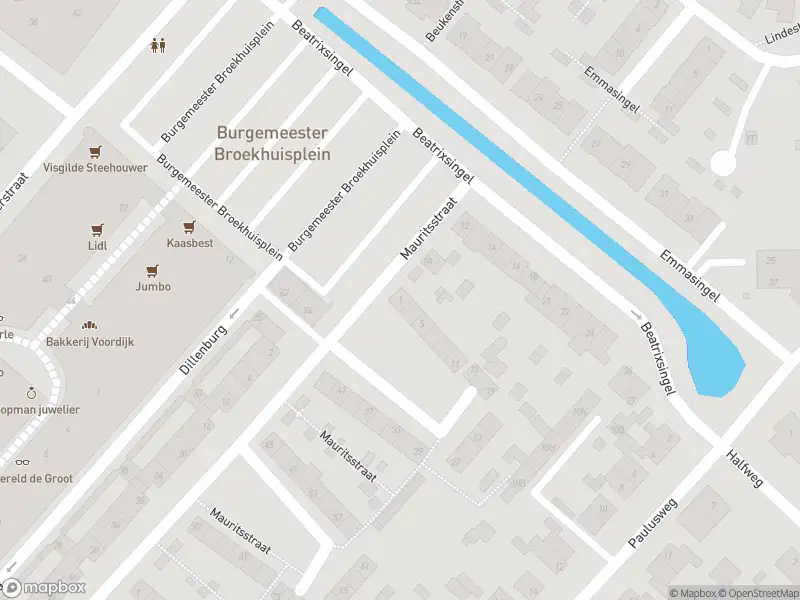 Overlastmelding Mauritsstraat in Hendrik-Ido-Ambacht