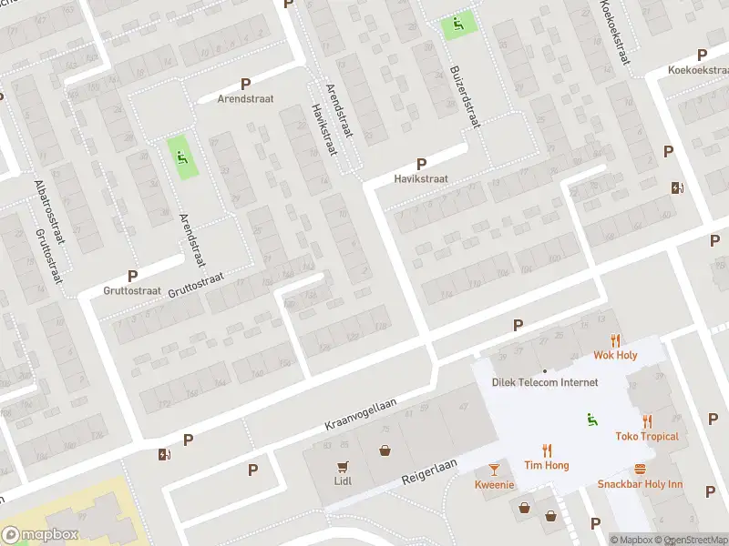 Ambulance met gepaste spoed naar de Havikstraat in Vlaardingen