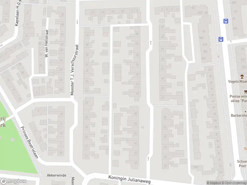 Overlastmelding Witte de Withstraat in Best