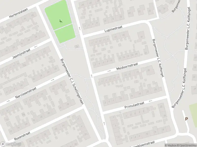 Overlastmelding Meidoornstraat in Hippolytushoef gesloten