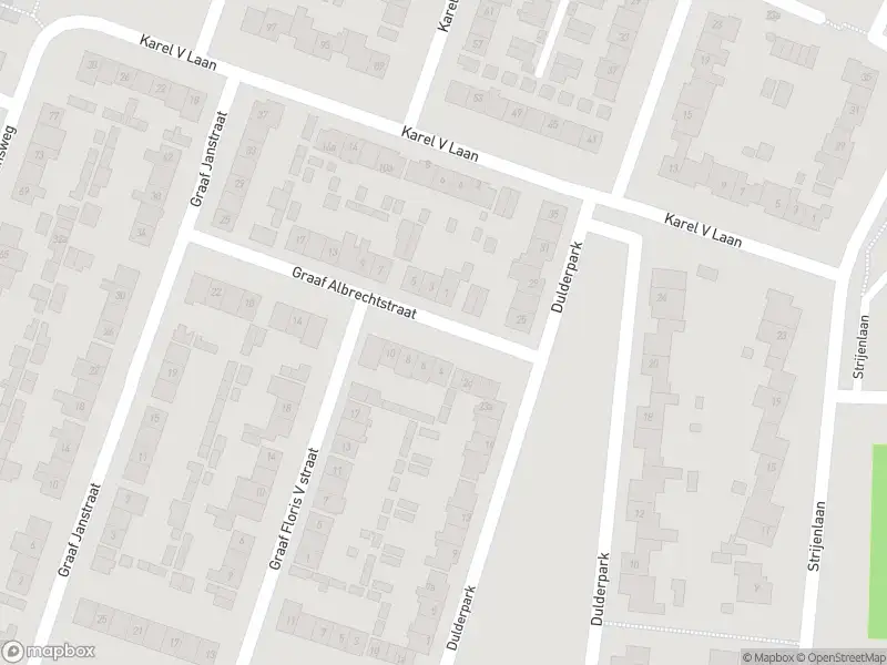 Brandweer met gepaste spoed naar de Graaf Albrechtstraat in Geertruidenberg