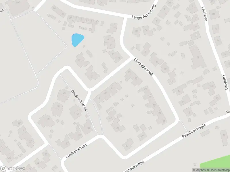 Overlastmelding Boudewijnstraat in 's-Heer Arendskerke