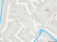 Overlastmelding Boterbloem in 2995TJ Heerjansdam