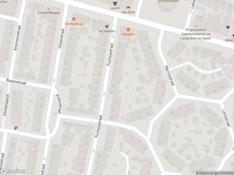 Brandweer met gepaste spoed naar de Puntenburgerlaan in Amersfoort