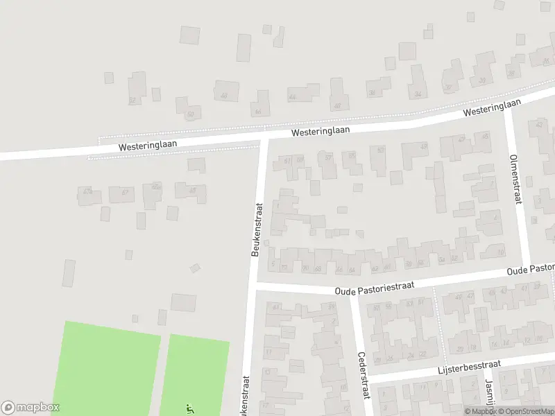 Politie naar de Beukenstraat in Maasbree