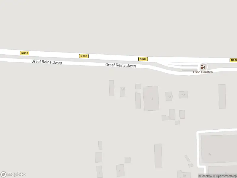 Brandweer met grote spoed naar de Graaf Reinaldweg in Haaften vanwege personen te water