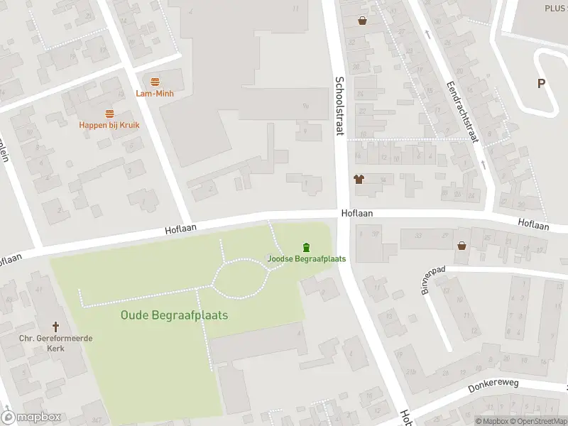 Overlastmelding Nieuwstraat in 3241CL Middelharnis