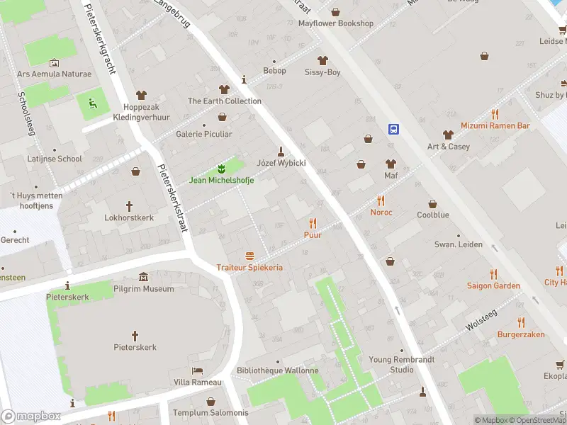 Ambulance en brandweer met grote spoed naar de Aalmarkt in Leiden