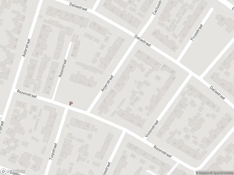 Brandweer met gepaste spoed naar de Dijkstraat in Asten