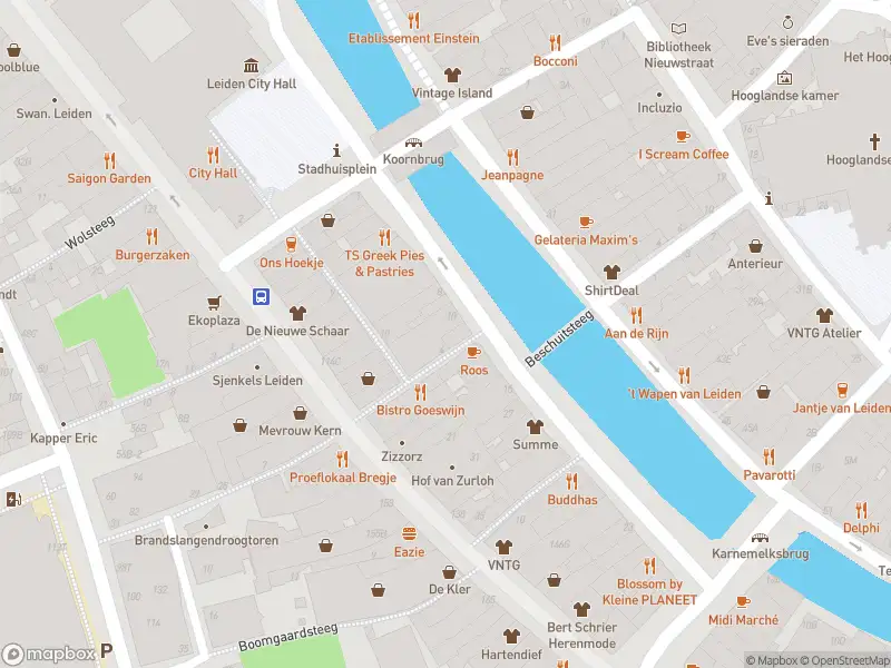 Brandweer met gepaste spoed naar de Rapenburg in Leiden vanwege afgaan automatisch brandalarm