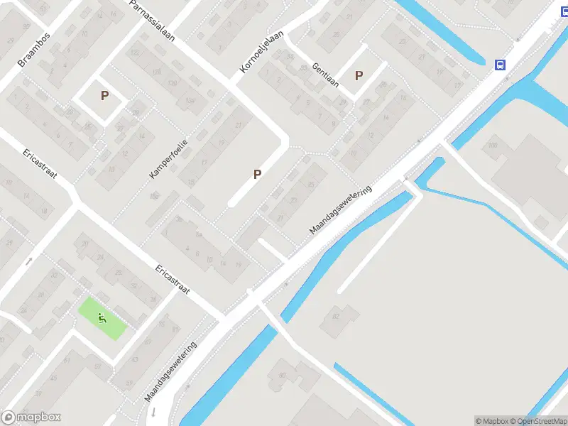 112 melding Overlastmelding Teunisbloem in Noordwijkerhout