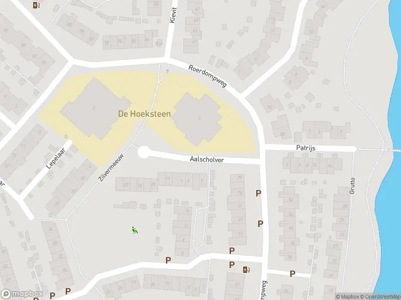 Ambulance met grote spoed naar de Aalscholver in Oud-Beijerland