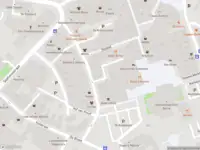 Brandweer met gepaste spoed naar de Rigtersplein in Borne