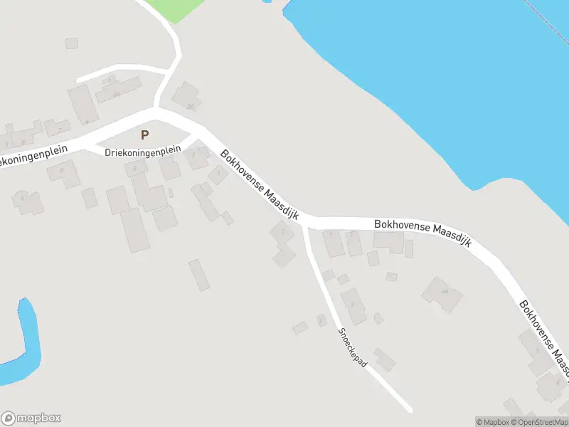 Brandweer met gepaste spoed naar de Bokhovense Maasdijk in 's-Hertogenbosch