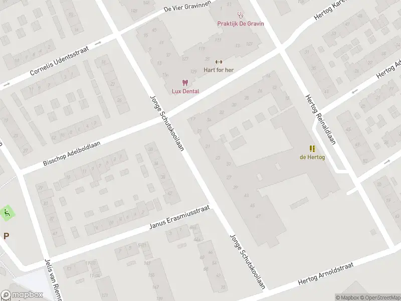 Brandweer met grote spoed naar de De Vier Gravinnen in Tiel vanwege gebouwbrand