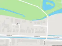 Overlastmelding Petunia in Dordrecht