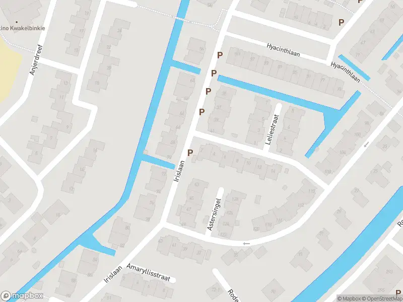 Ambulance met gepaste spoed naar de Orchideestraat in Berkel en Rodenrijs