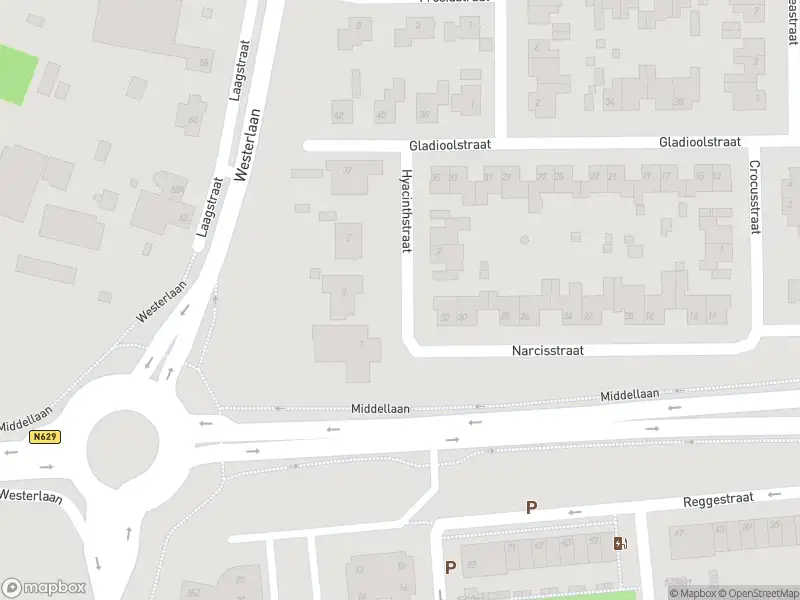 Overlastmelding Hyacinthstraat in Dongen