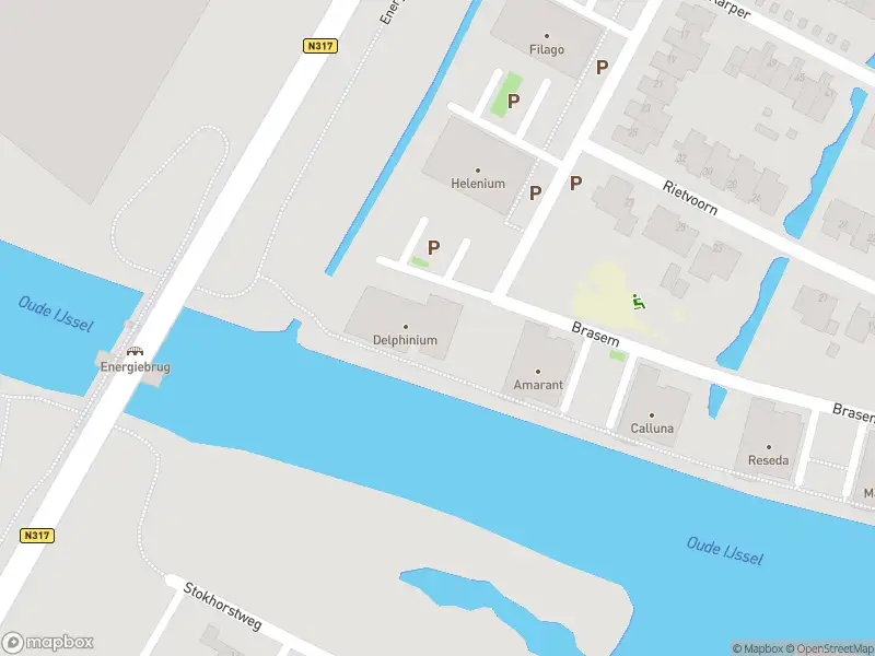 Overlastmelding Brasem in Doetinchem