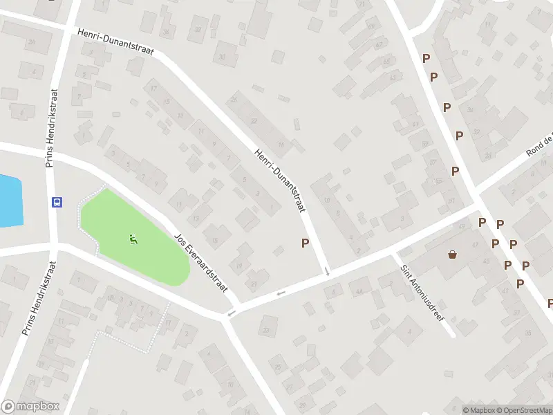 Overlastmelding Henri-Dunantstraat in Sint Jansteen