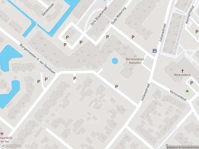 Ambulance met gepaste spoed naar de Christinastraat in Zuidland