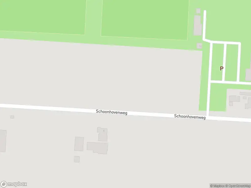 Brandweer met gepaste spoed naar de Schoonhovenweg in Hollandscheveld