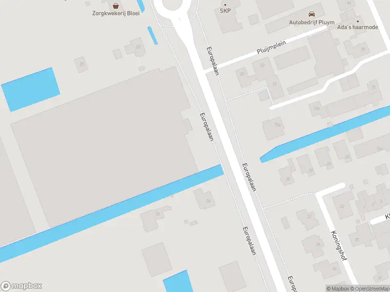 Ambulance met gepaste spoed naar de Europalaan in Pijnacker