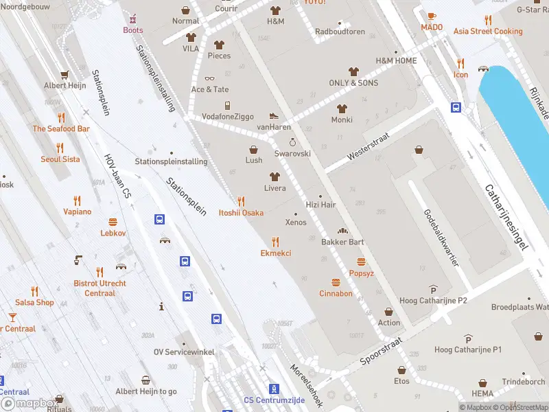 Politie naar de Stationsplein in Utrecht