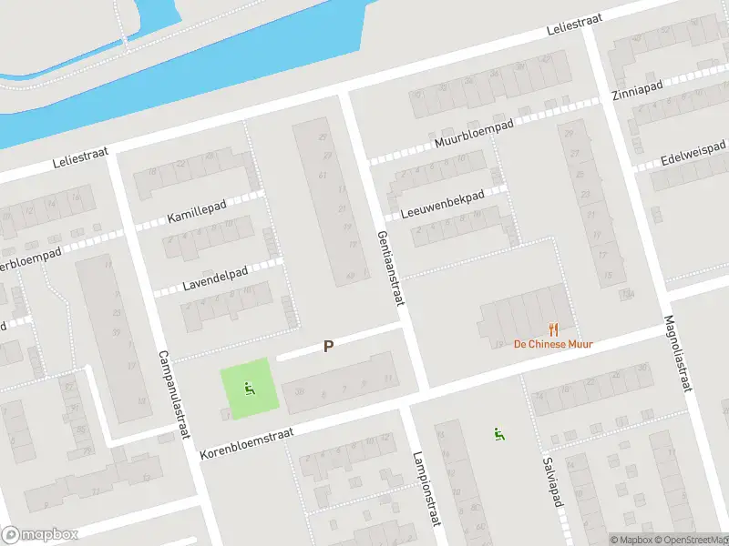 Ambulance met gepaste spoed naar de Gentiaanstraat in Spijkenisse