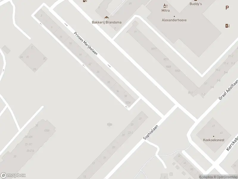 Traumahelikopter met grote spoed naar de Prinses Marijkelaan in Zeist