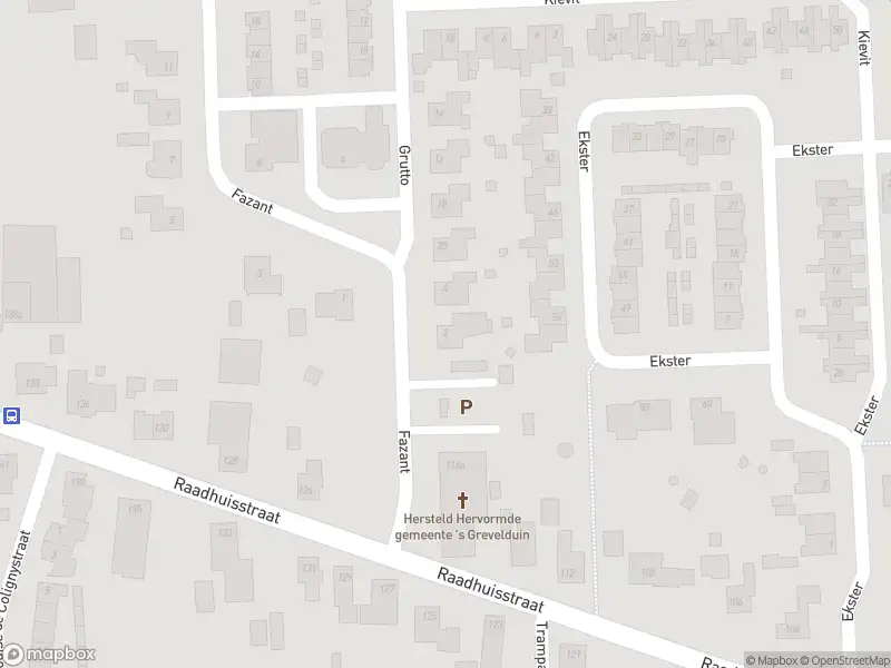 Anonieme overlastmelding Fazant in Sprang-Capelle