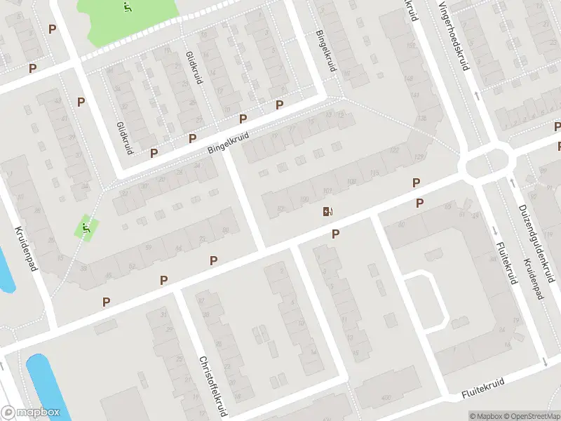 Ambulance met gepaste spoed naar de Nagelkruid in Vlaardingen