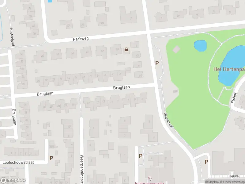 Brandweer met gepaste spoed naar de Bruglaan in Druten