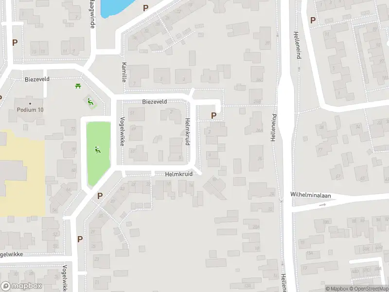 Brandweer met gepaste spoed naar de Helmkruid in Bladel