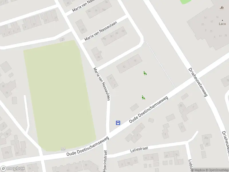 Overlastmelding Maria van Nassaulaan in 's-Heerenberg