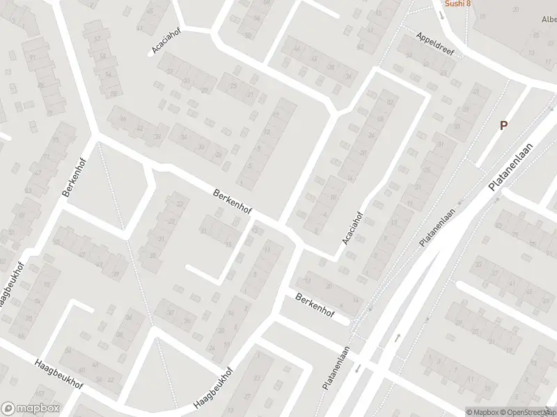 Ambulance met gepaste spoed naar de Acaciahof in Papendrecht