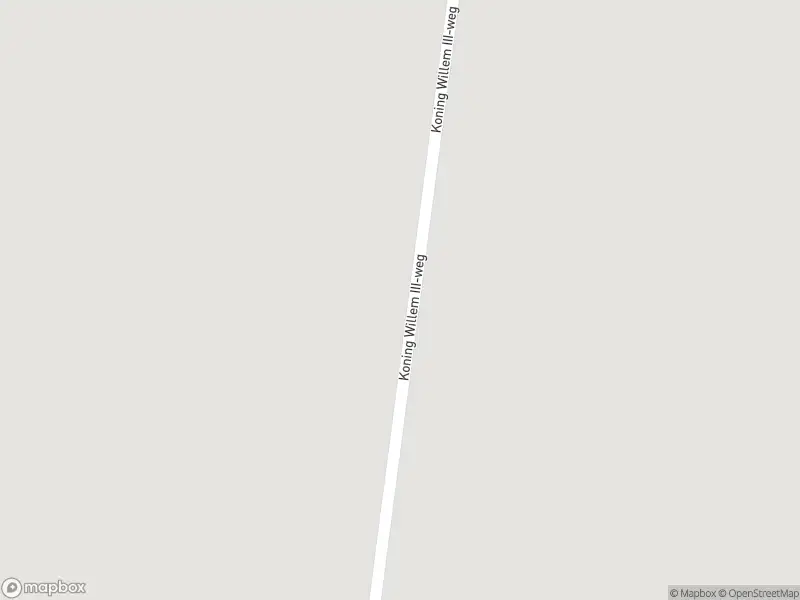 Brandweer met gepaste spoed naar de Koning Willem III-weg in Zaamslag vanwege stormschade