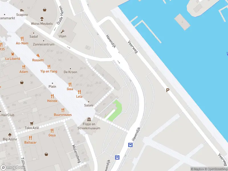 Politie naar de Havendijk in Tiel vanwege personen te water