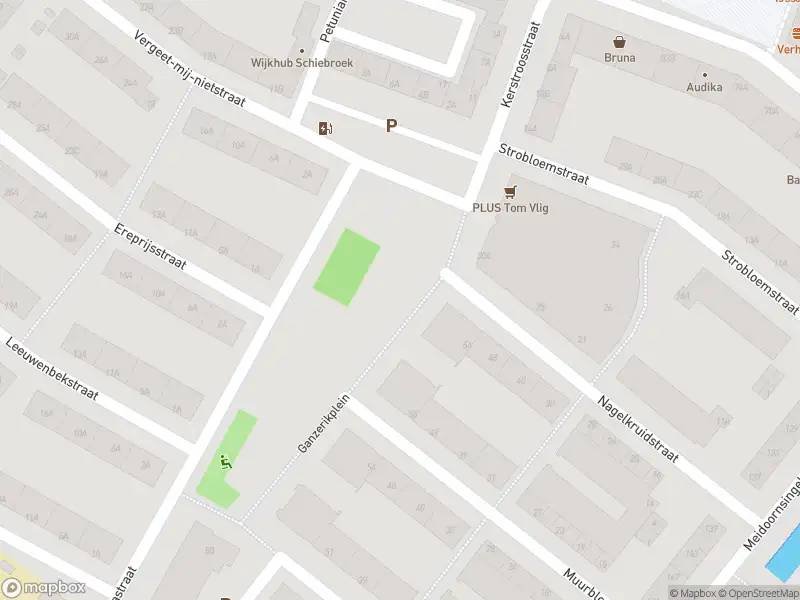 Ambulance met gepaste spoed naar de Ganzerikplein in Rotterdam